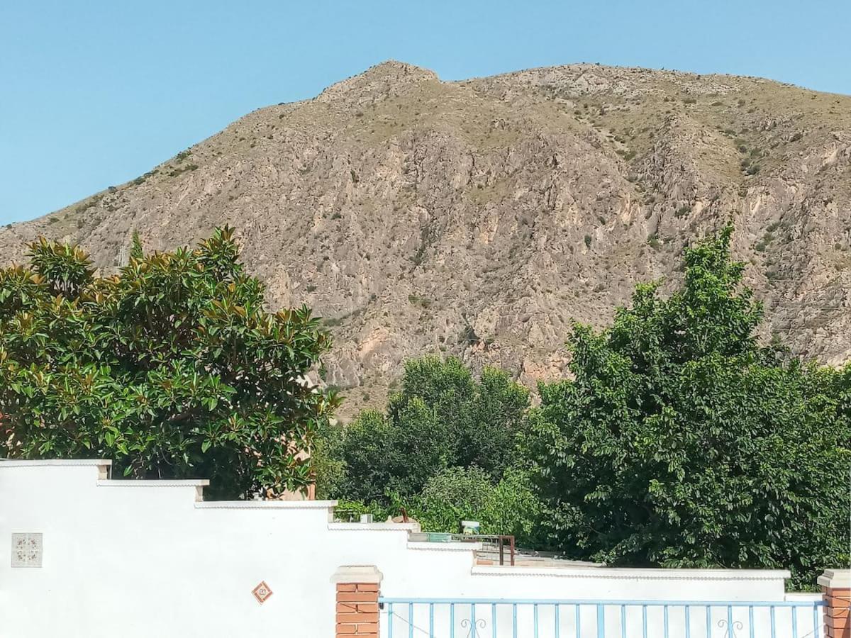 Recovery Mountain 2 Separate Beds In Room B&B Alicante Exterior photo